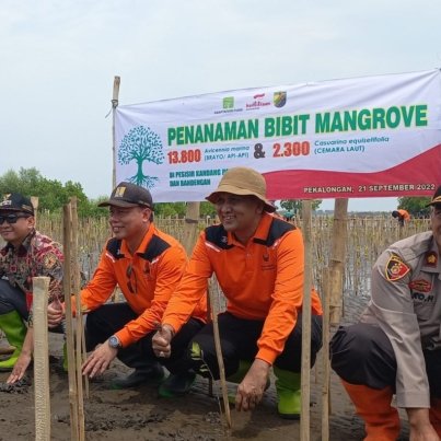 2022-09-PenanamanMangrove-1024x819