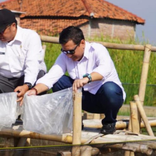 berita_20240603050113